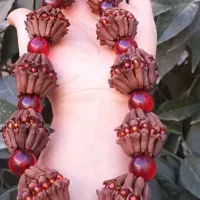 میخک خوش بو