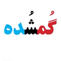 کیف کارتی مشکی گمشده