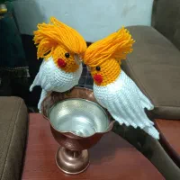 عروس هلندی بافتنی