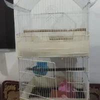 فروش دو عدد قفس بزرگ