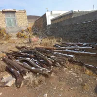 تیرچوبی خشک ویک دامداری خراب نشده