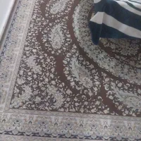 قالی 12متری باراهرویی|فرش|اهواز, مجاهد|دیوار