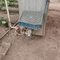 اجاره ۵۰۰۰ گلخانه دارای آب و برق و گاز|اجارهٔ دفتر صنعتی، کشاورزی، تجاری|بشاریات, |دیوار