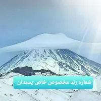 شماره رند