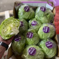 استخدام نیروی خانم برای شرکت بسته بندی