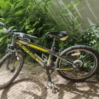 دوچرخه ویوا اصل کوهستانی مدل اکسیژن سایز 24