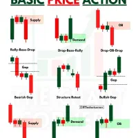 آموزش ترید فارکس حضوری مقدماتی از صفر مطلق