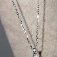 گردنبند اسب آسمانی|بدلیجات|رشت, سعدی (تختی)|دیوار