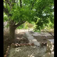 زمین داخل بافت