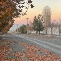 با-ماهی-5میلیون-زمین-تفکیکی-بخربدون-پیش-پرداخت