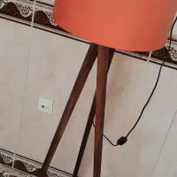 آباژور کاملا سالم