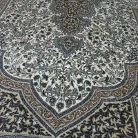 فرش ماشینی|فرش|بندر انزلی, آذربایجان|دیوار