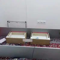 تخت وتشک تخت کودک ونوجوان|تخت و سرویس خواب|قم, عمار یاسر|دیوار