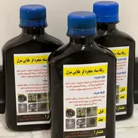 ریکا سیاه