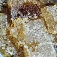 عسل به قیمت عمده|خوردنی و آشامیدنی|مرودشت, ثبت احوال|دیوار