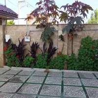 اجاره-آپارتمان