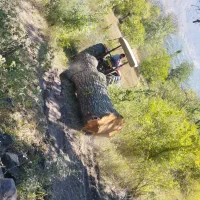 خرید چوب ،ریشه ،برش درخت