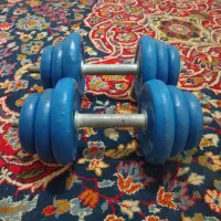 معاوضه با پرنده
