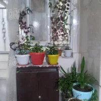 اینه کنسول و گل و گیاه تابلو