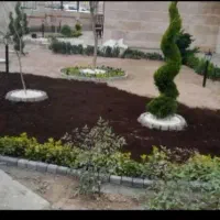 خدمات کلیه باغبانی باغچه کاری گلکاری کاشت گل وگیا|خدمات باغبانی و درختکاری|کرج, عظیمیه|دیوار