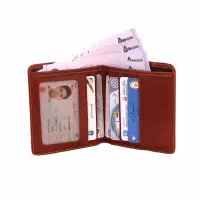 گمشده بنام صالحی