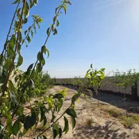 زمین مسکونی با اب و برق و گاز سندملکی اقساطی|فروش زمین و ملک کلنگی|مشهد, هنرستان|دیوار