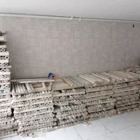کاغذ دیواری استوک
