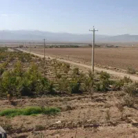 ملک معاوضه|فروش زمین و ملک کلنگی|ساوه, |دیوار