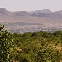 باغ گردویی مناسب برای سرمایه گذاری|فروش زمین و ملک کلنگی|سامان, |دیوار