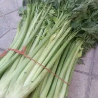 شفارشات سبزی و قرمه