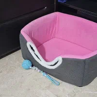 تخت حیوان