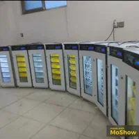 دستگاه جوجه کشی/+بهترین کیفیت+٪|لوازم جانبی حیوانات|بندرعباس, |دیوار