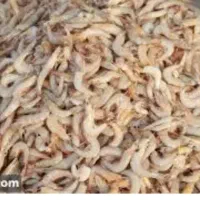 پاک کردن ماهی میگو انواع سبزی وحبوبات خرما