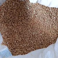 گندم|خوردنی و آشامیدنی|مرند, |دیوار