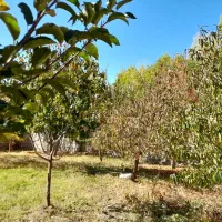 فروش باغ ویلایی|فروش خانه و ویلا|هریس, |دیوار