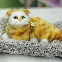 گربه های موزیکال|اسباب‌بازی بچه|یزد, |دیوار