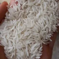 برنج طارم و فجر ممتاز با طعم و پخت بی نظیر|خوردنی و آشامیدنی|کردکوی, |دیوار