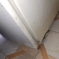 یخچال فریزر|یخچال و فریزر|شاهین‌شهر, گرگاب|دیوار