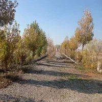 1هکتار-زمین-چهار-دیواری-شده-در-ورامین