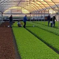 شریک و سرمایه گذار گلخانه در شهرک گلخانه ای