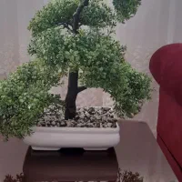 درختچه بونسای مصنوعی