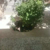 فروش و معاوضه زمین مسکونی