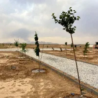 بااقساط ۱۵ماهه صاحب باغ سنددارشوید|فروش زمین و ملک کلنگی|شاهین‌شهر, گرگاب|دیوار