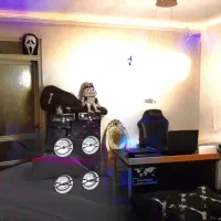 همخونه خانم میپذیرم