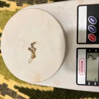 طلا نو نو|جواهرات|زاهدان, |دیوار