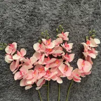 گل ارکیده صورتی