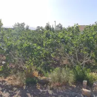 فروش خانه باغ ۷۰۰ متری فول امکانات|فروش زمین و ملک کلنگی|تهران, استاد معین|دیوار