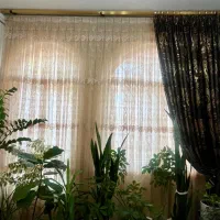 پرده پذیرایی