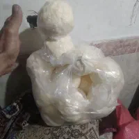 کره محلی اردبیل پنیر گوسفندی|خدمات پذیرایی، مراسم|اردبیل, |دیوار