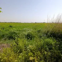 مزرعه کشاورزی